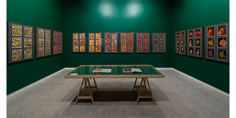 A room in Heide Museum of Modern Art, painted deep green, that has multiple panels of 'Paradise Garden' installed across three walls. There is a table in the middle of the room, propped on two trestles, that has a green top and several artist books displayed under glass.